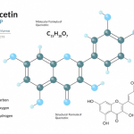 Quercetina: Una Promettente Candidata per la Gestione della Steatosi Epatica Associata a Disfunzione Metabolica (MASLD)